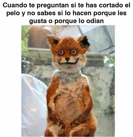 meme autoestima alta 7