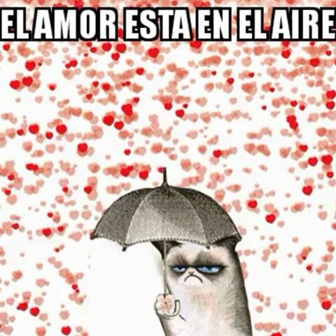 amor está en el aire