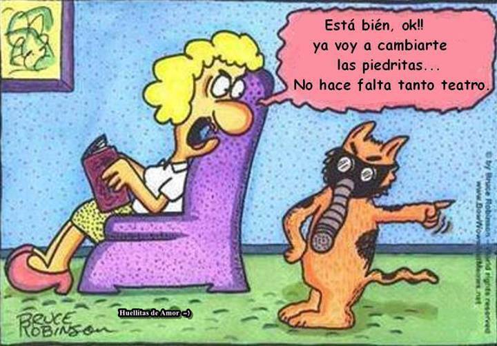 Chistes de mascotas
