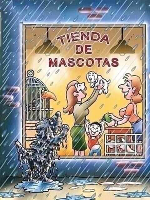 Chistes de mascotas