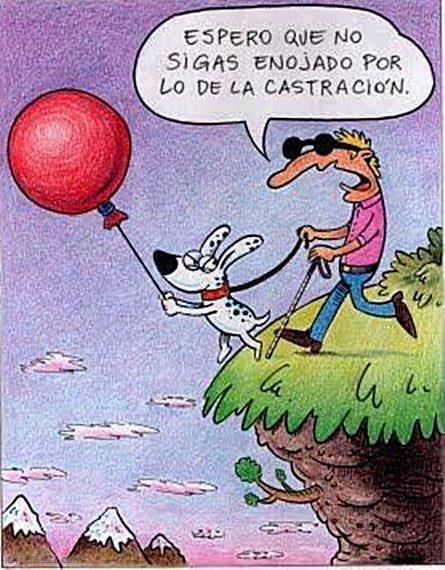Chistes de mascotas