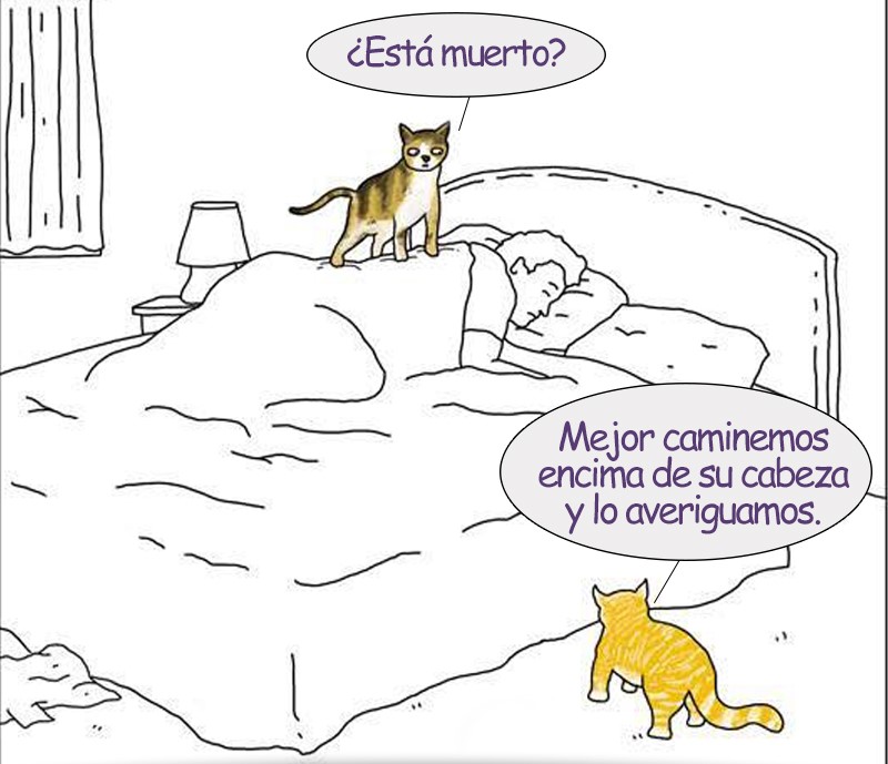 Chistes de mascotas