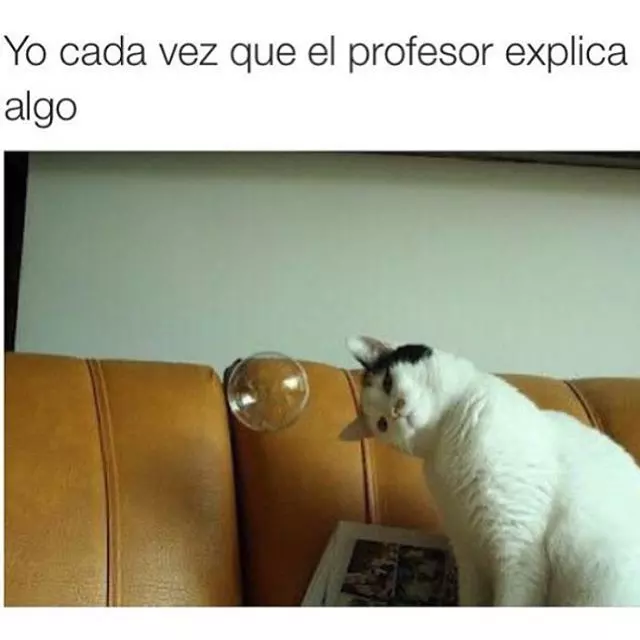 primera semana clases 1