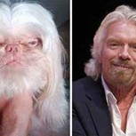 Famosos parecidos a animales: Estas semejanzas son demasiado evidentes y no pararás de reír