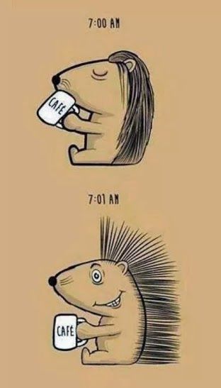amantes del cafe 6