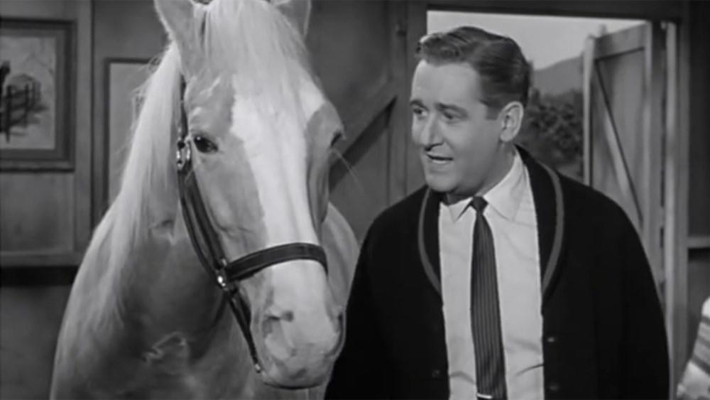 mr ed