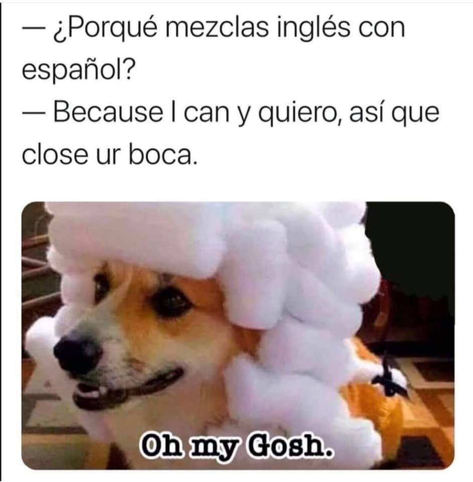 memes aprender ingles 10