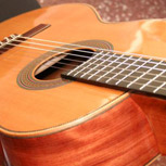La extinción de la madera: Impacto en los instrumentos