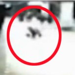 Impacto por video que muestra cómo una guagua cae a las líneas del tren en Rusia