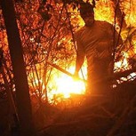 Prensa internacional dedica amplia cobertura a incendios en Chile: “Es el más devastador del mundo”