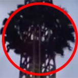 Terrorífica experiencia deja 10 heridos tras falla en juego de parque de diversiones