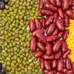 ¿Qué son las ‘zonas azules’ y cuál es el secreto de sus habitantes para vivir más de 100 años?