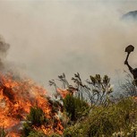 África tiene hoy más incendios que Brasil, pero ¿por qué no son comparables?