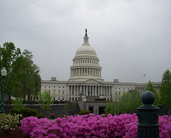 El capitolio en Washington D.C.alberga la Cámara de Representantes y el Senado.