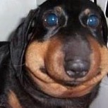 14 fotos clásicas de Internet que siguen haciendo reír y son íconos de la historia de la web