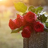 Visitan por 14 años la tumba equivocada de su abuela: Dramática historia