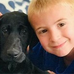 Niño de sólo siete años ha salvado de la muerte a más de 1.200 perros