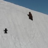 Pequeño oso da la mejor lección de superación ante la adversidad y miles se emocionan: Este es el video