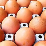 Habló el creador del huevo viral que batió récord mundial: “Pensé que sería divertido”