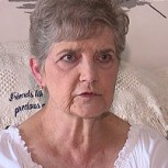 Una mujer de 79 años fue condenada a prisión por alimentar a gatos callejeros
