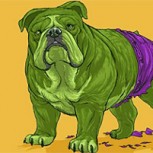 “Hulk”: El perrito que nació de color verde y que preocupó a usuarios de redes sociales