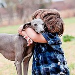 Un niño fue castigado y su perrito lo acompañó en todo momento: La mejor imagen de la lealtad total