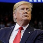 Un gatito con el peinado de Donald Trump: Aburrimiento en cuarentena llevó a esta alocada idea
