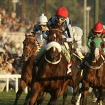 Una carrera de caballos terminó con un final totalmente inesperado: Mira el video