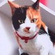 Anuncio con gigantesco gato en 3D se lleva todas las miradas en Tokio: Parece real