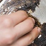 Un truco viral en TikTok muestra cómo “salvar” las ollas quemadas y dejarlas como nuevas