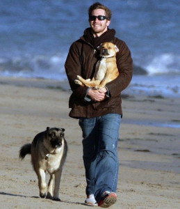 JG pets