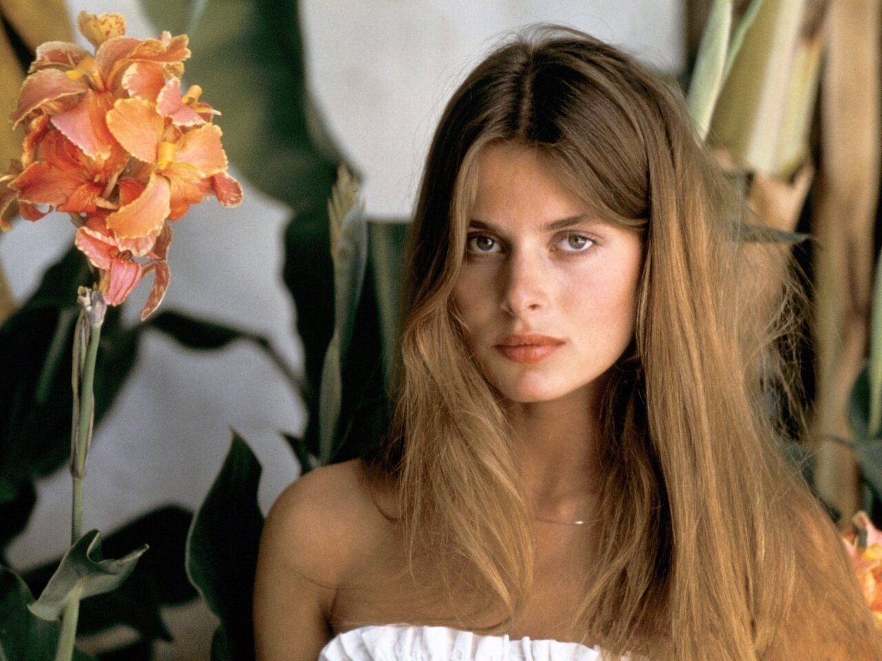 Historia Y Fotos De Nastassja Kinski La Actriz Que Explot El Erotismo Juvenil Los