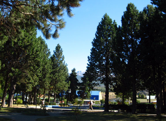 La Plaza de Armas de Cochrane y sus característicos y abundantes pinos.