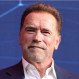 Foto juvenil de Arnold Schwarzenegger: Su curioso registro como estudiante de inglés