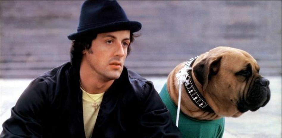 Sylvester Stallone y su perro Butkus, quien apareció en las películas "Rocky I" y "Rocky II".