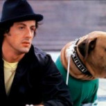 Sylvester Stallone y su perro Butkus: La increíble historia antes de triunfar con “Rocky”