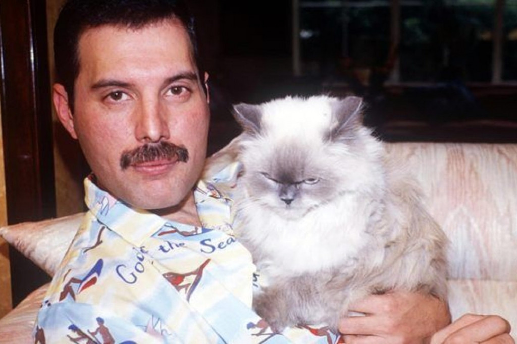 Freddie Mercury junto a Delilah, su gata más querida. 