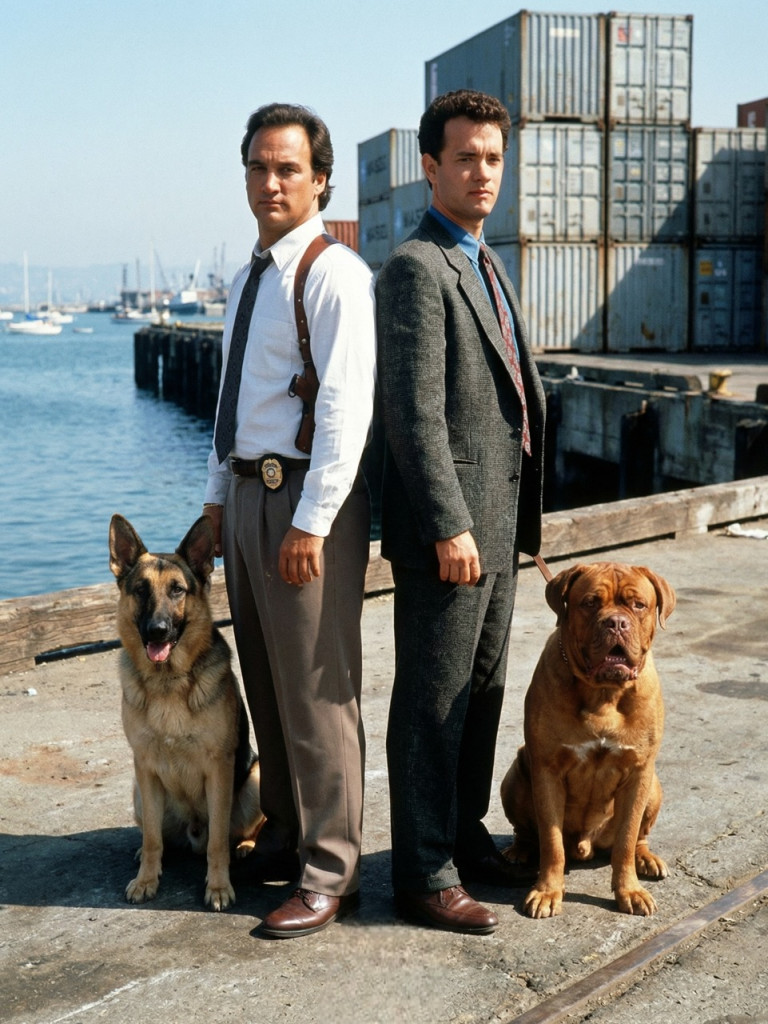 605535206_1319783513523182_4695645309488343679_n