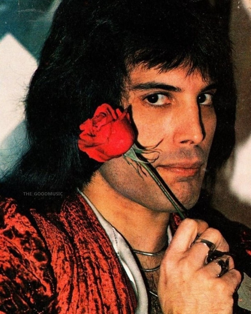 Freddie rose