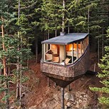 Fotos de la casa en un árbol más lujosa: Está en Noruega y tiene gran popularidad en las redes