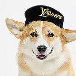 Louis Vuitton sorprende con nueva colección de lujo para mascotas