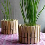 Low Cost Decoration: Cómo hacer un macetero con pinzas para la ropa