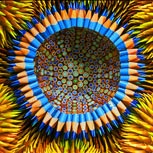 Lápices de color: esculturas ingenuas y fantásticas