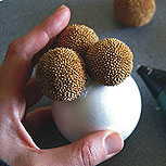 Bola decorativa hecha con semillas