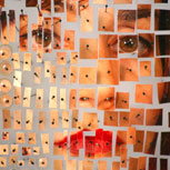 Collages de especímenes humanos: perturbador trabajo