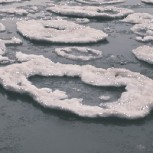 ¡Témpanos de hielo animados en el Lago Michigan!