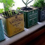 Reciclaje de latas: Ideas creativas para no botarlas