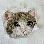 Madre japonesa borda populares gatos de internet en las camisas de su hijo