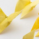 Alegres mariposas que puedes hacer en pocos pasos en origami