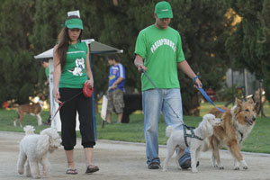 Mascotas-perros
